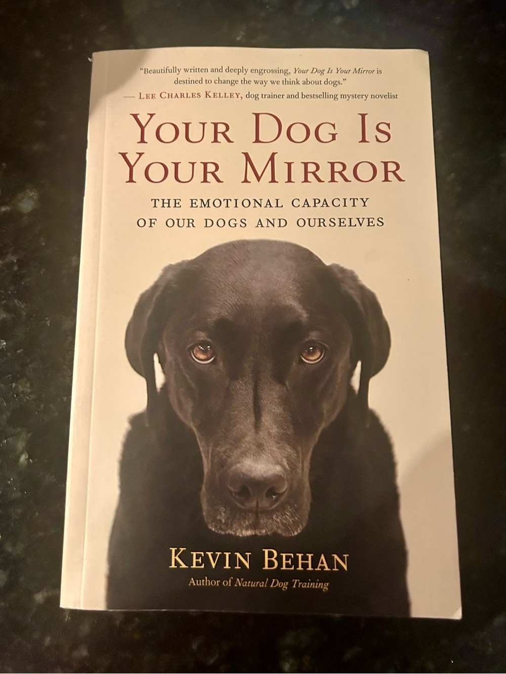 Your Dog Is Your Mirror softcover book